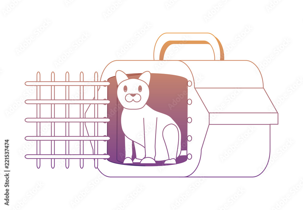 cute cat design cute cat design