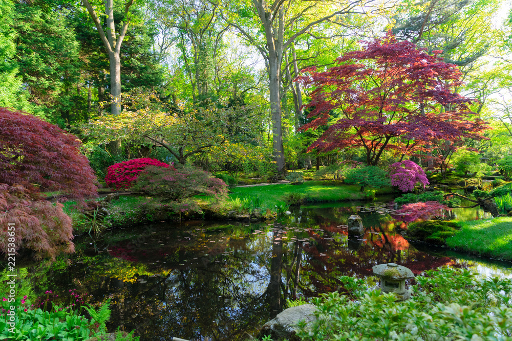 flowing spring and green grass in japanese garden in The Hague, Netherlands