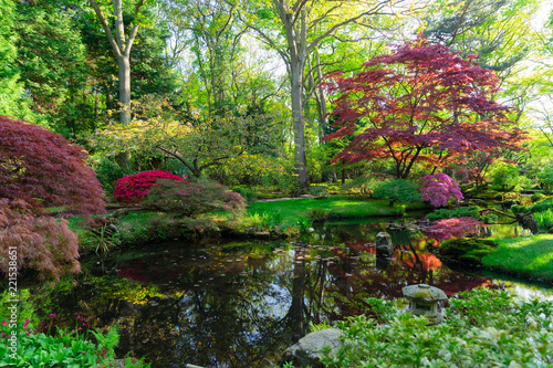 Fototapeta Naklejka Na Ścianę i Meble -  flowing spring and green grass in japanese garden in The Hague, Netherlands