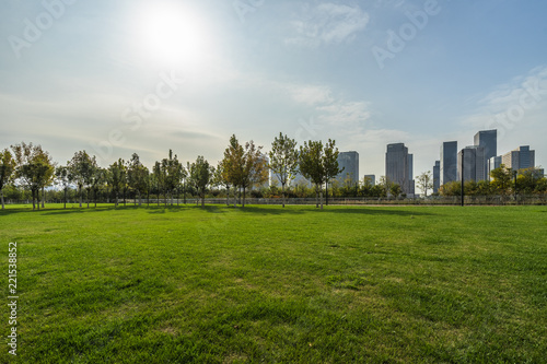 green lawn with city skyline background