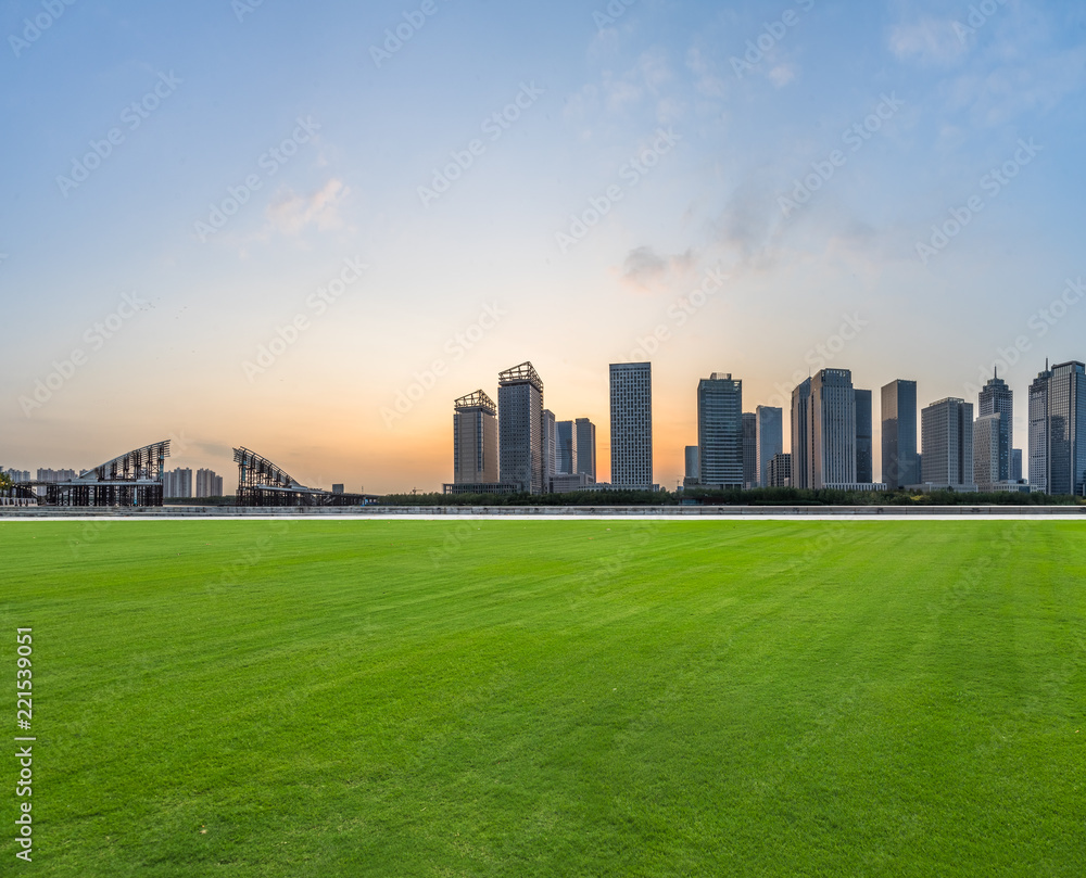 Fototapeta premium green lawn with city skyline background