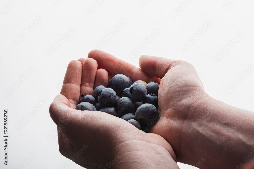 Young woman holding fresh organic blueberries in her hands. Young woman holding fresh organic blueberries in her hands.