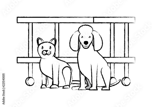 cute pets design