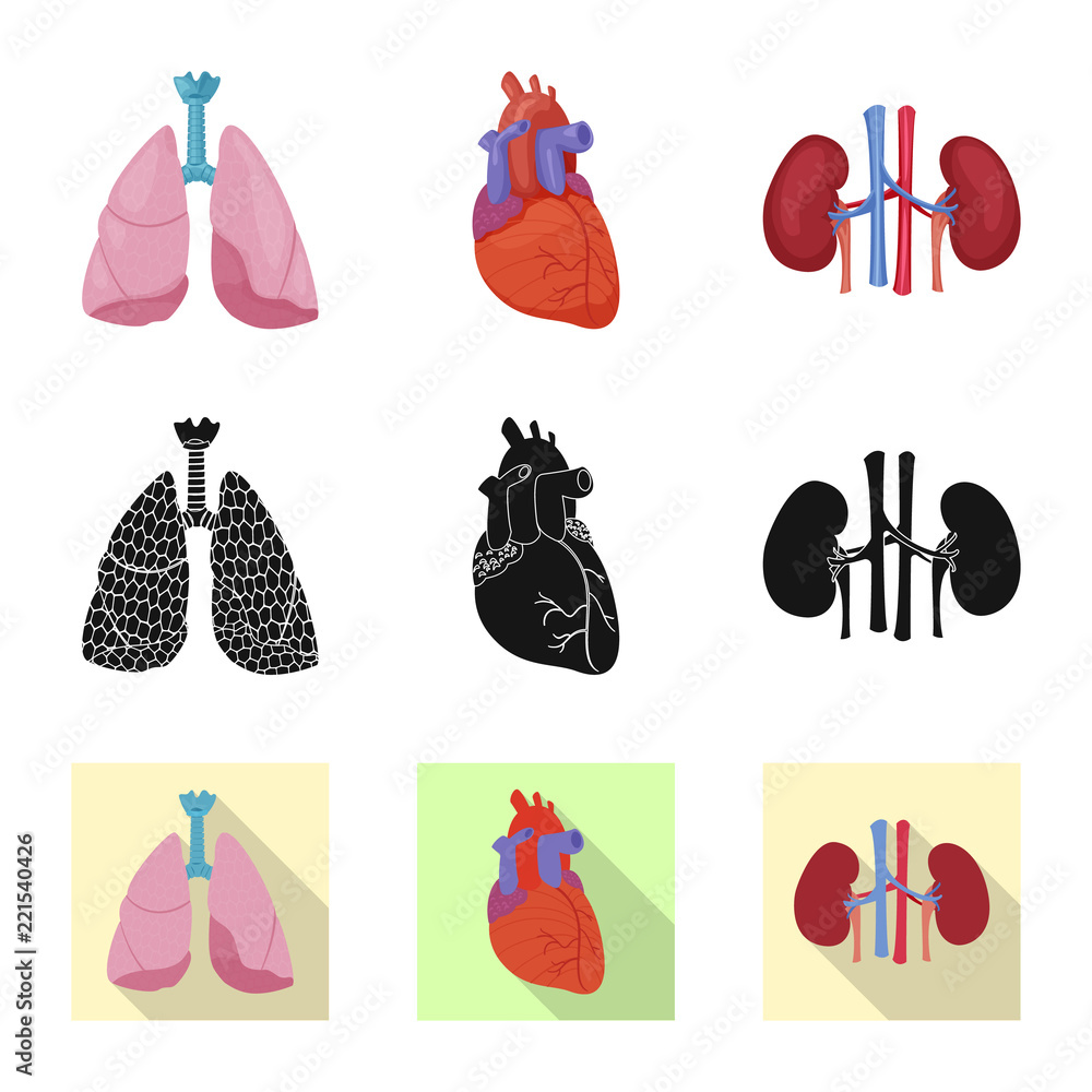 Fototapeta premium Isolated object of body and human icon. Collection of body and medical stock vector illustration.