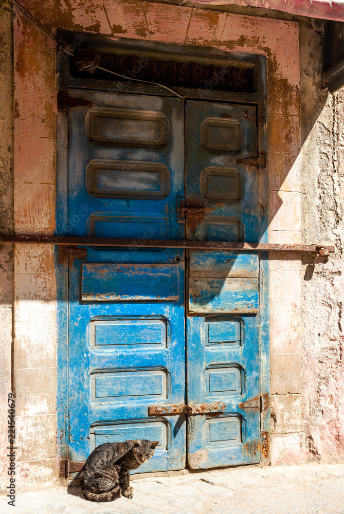 A cat stands in front of the condemned door of a house in the former Jewish district of Mellah in Essaouira, Morocco