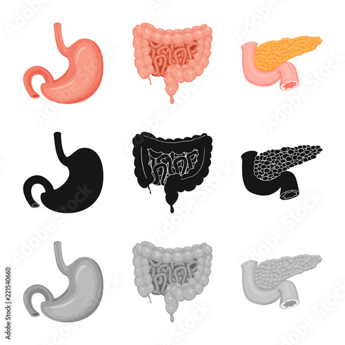 Vector design of body and human symbol. Collection of body and medical stock symbol for web.