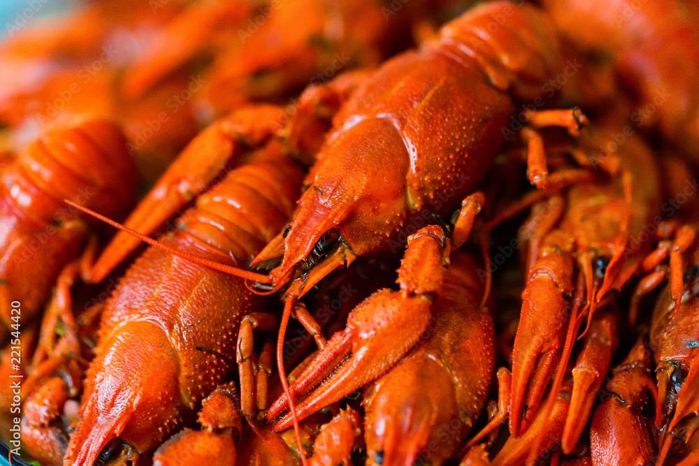 Tasty red boiled crayfish close up background Tasty red boiled crayfish close up background