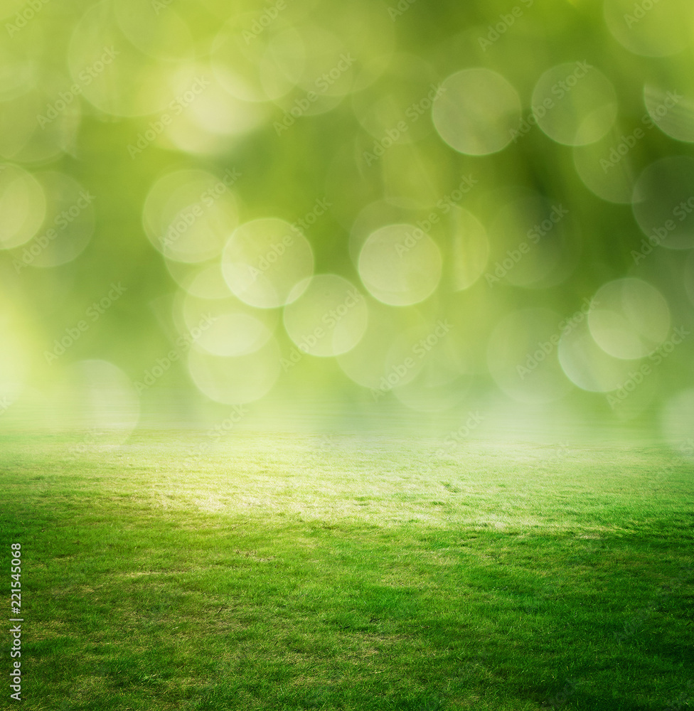 Fototapeta premium Grass and green meadow