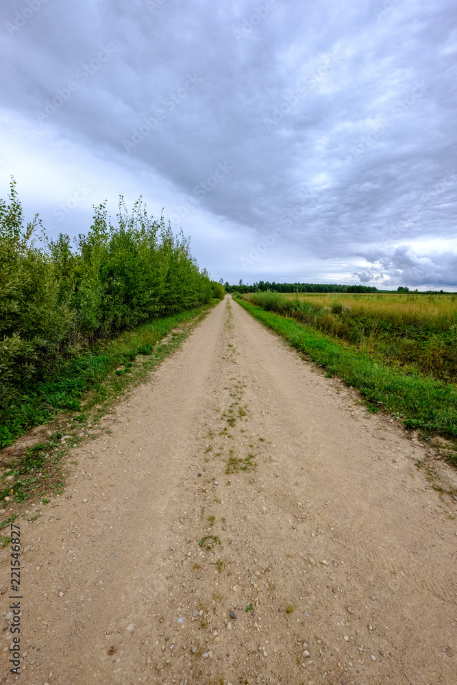 Fototapeta premium simple gravel country road in summer in forest