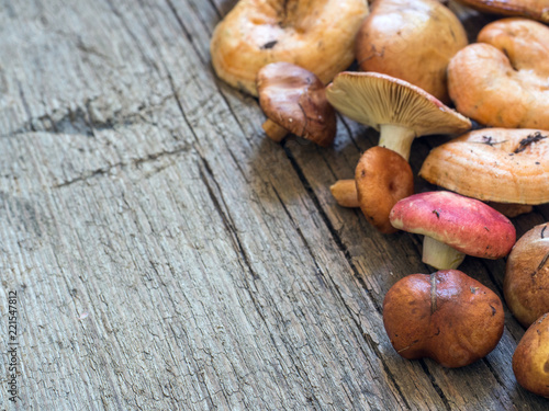 A variety of raw fresh forest mushrooms on wooden background