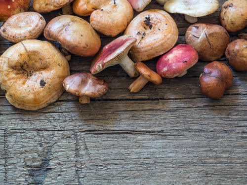 A variety of raw fresh forest mushrooms on wooden background