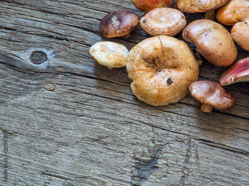 A variety of raw fresh forest mushrooms on wooden background