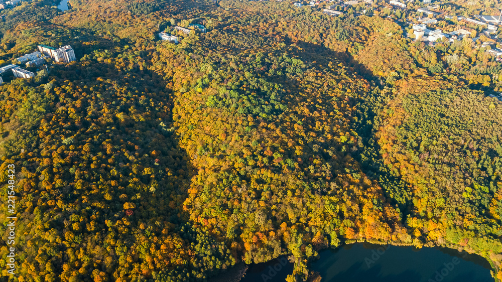 Golden autumn background, aerial drone view of forest with yellow trees and beautiful lake landscape from above, Kiev, Goloseevo forest, Ukraine
Golden autumn background, aerial drone view of forest with yellow trees and beautiful lake landscape from above, Kiev, Goloseevo forest, Ukraine