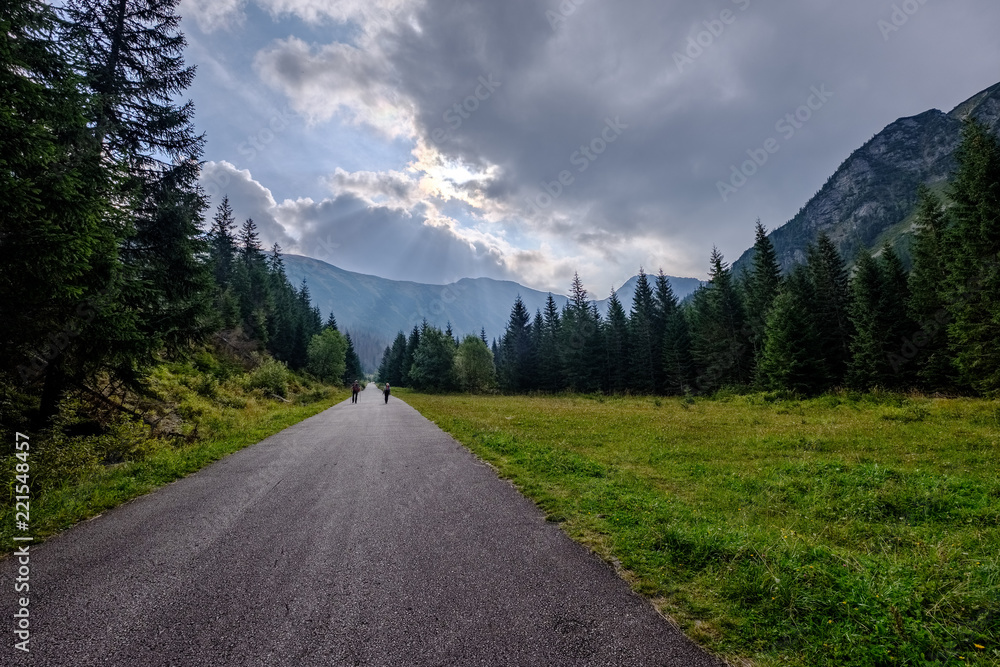Naklejka premium asphalted road leading up to the mountains in forest