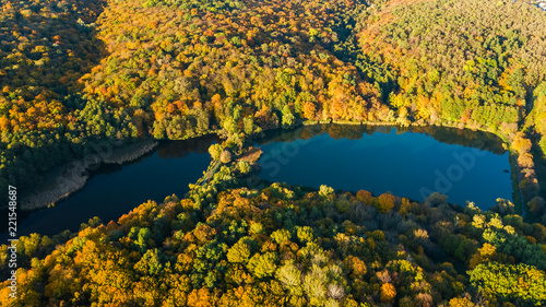 Golden autumn background, aerial drone view of forest with yellow trees and beautiful lake landscape from above, Kiev, Goloseevo forest, Ukraine 