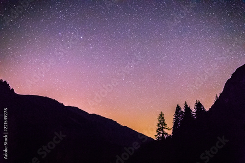 Sterne und schwarze Baum-Silhouetten, Nachtaufnahme 