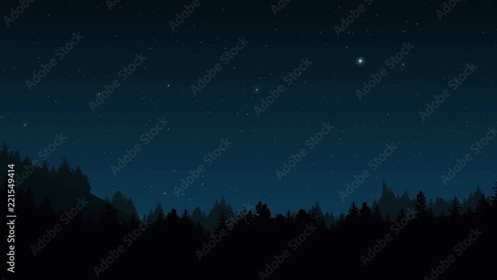 Timelapse of stars moving in night sky over forest. Realistic digital animation. Timelapse of stars moving in night sky over forest. Realistic digital animation.