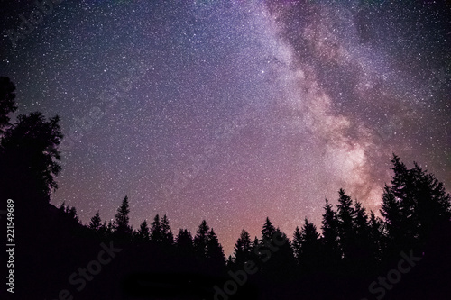 Milchstraße und schwarze Baum-Silhouetten, Nachtaufnahme 