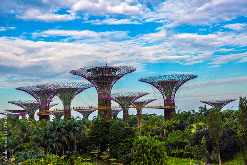 Panorama of Garden by the Bay. Singapore