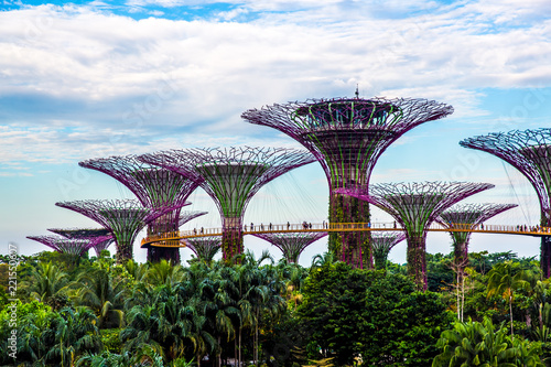 Garden by the Bay. Singapore