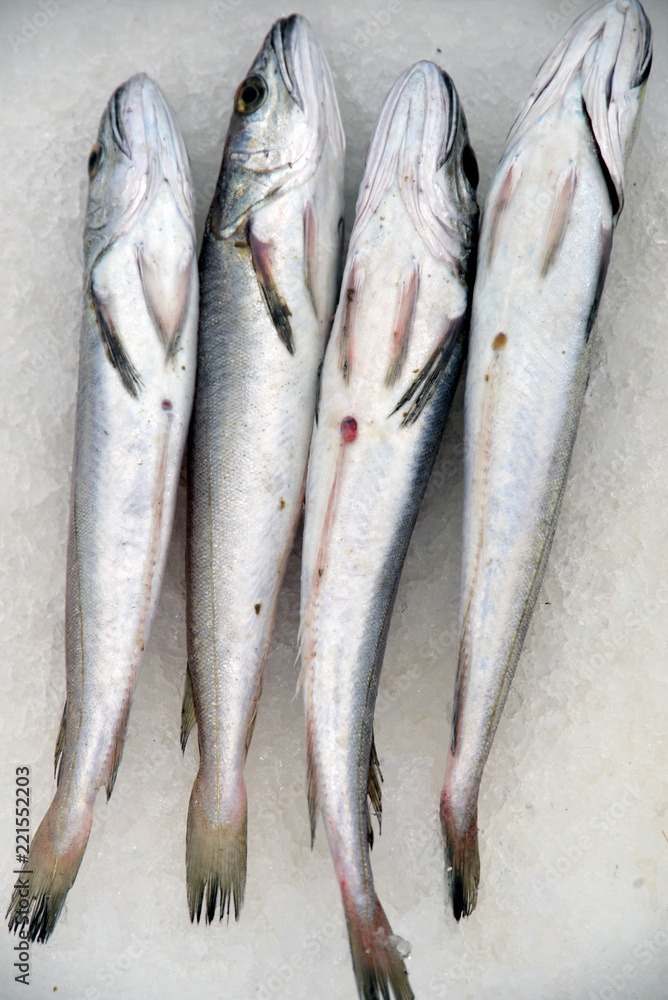 Obraz premium Freshly fished fish on the ice, the concept of healthy eating