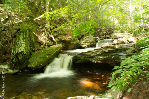 Waterfall Flowing Through Timberland In Pennsylvania Gorge