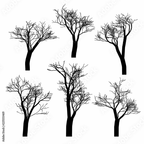Set of black naked trees silhouette set. Hand drawn isolated.