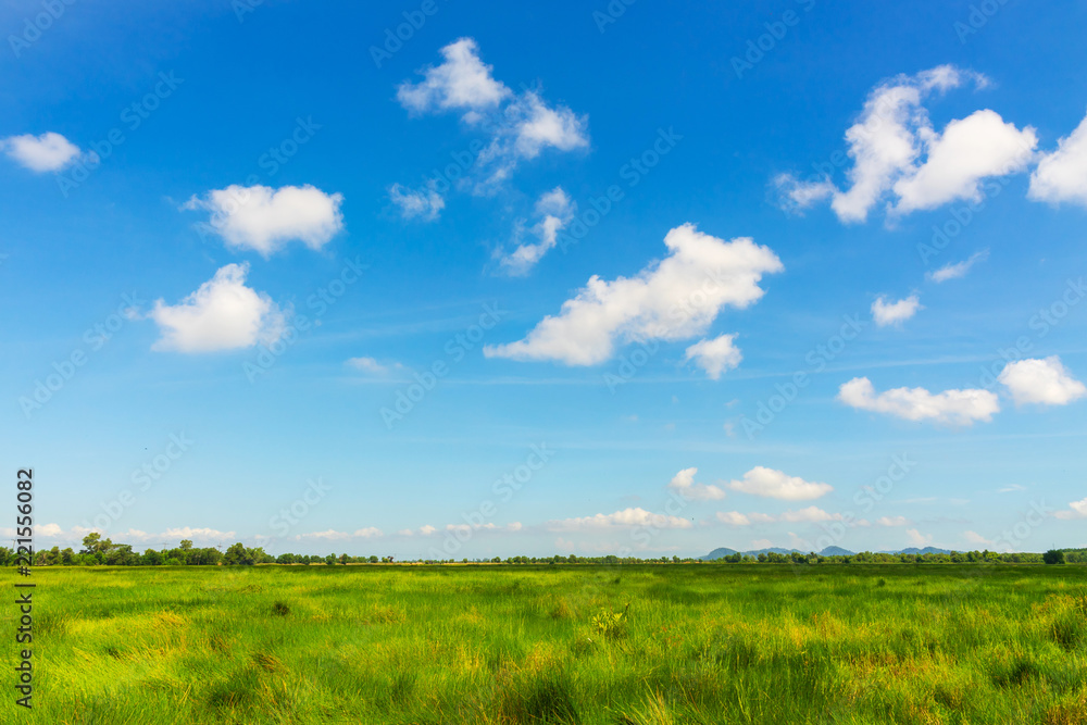 Fototapeta premium Beautiful green meadows and blue sky