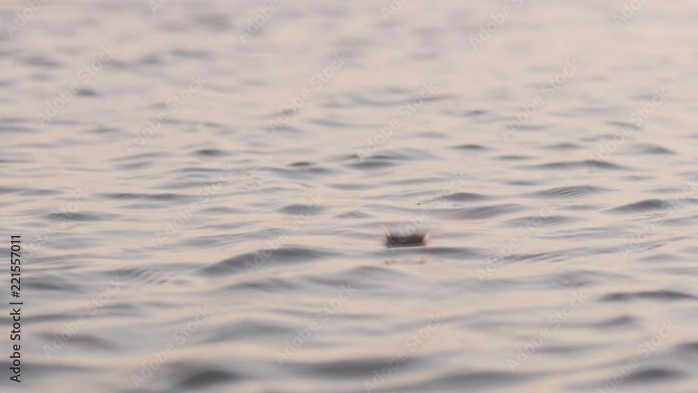 Slow motion handheld close-up stone falls in water at sunset Slow motion handheld close-up stone falls in water at sunset