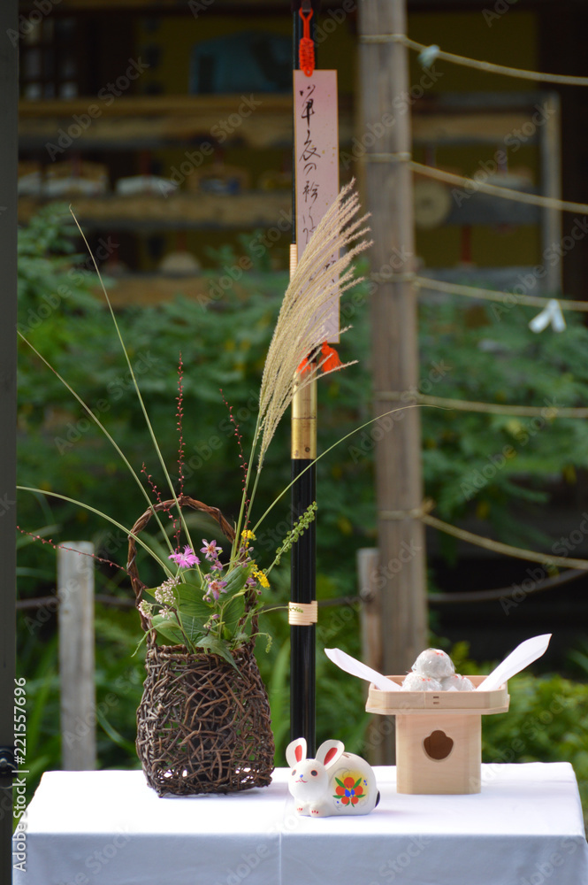 Displaying Tsukimi Event お月見の準備 祭壇 飾り付け 正面アングル Stock Photo Adobe Stock