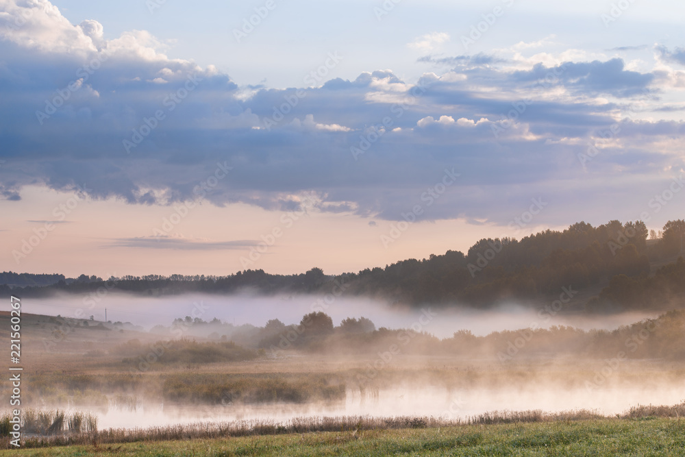 trees on meadow covered in dense fog with beautiful pastel sky on background 
