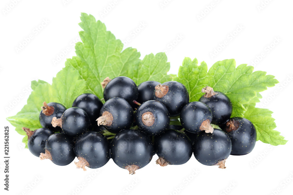Schwarze Johannisbeeren Johannisbeere Früchte Frucht Beere Beeren Obst Freisteller freigestellt isoliert