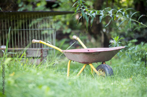 Verlassene Kinderschubkarre in Garten photo