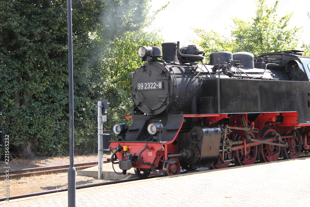 Obraz premium Kolej wąskotorowa Molli 6