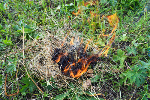 Forest fire. Careless handling of fire. Man sets fire to dry grass in the woods. Environmental protection. Fire. Burning match. A cigarette butt thrown into the grass. © kseny90