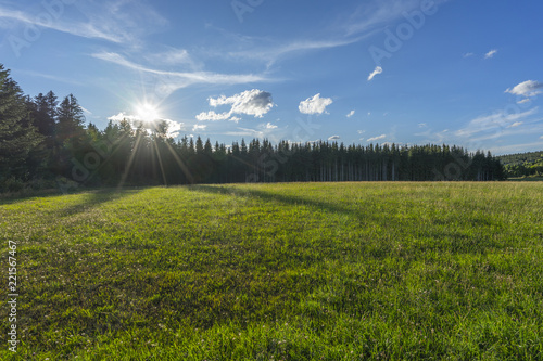 Der Schwarzwald photo