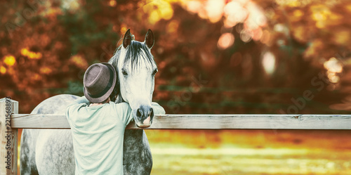 Guy bumped his head in neck of horse at fence in stable on background of autumn foliage