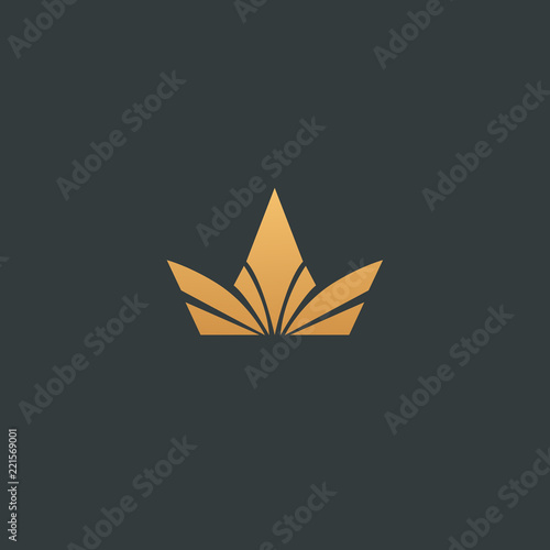 Abstract vetor crown logo vector design. Sign for beauty salon, elite accessories, jewelry, hotels, spa, wedding. Vintage decorative icon qween, king, princess.