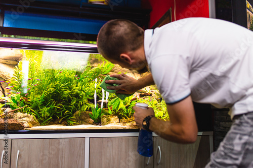 Male worker in aquarium shop cleaning fish tenks.