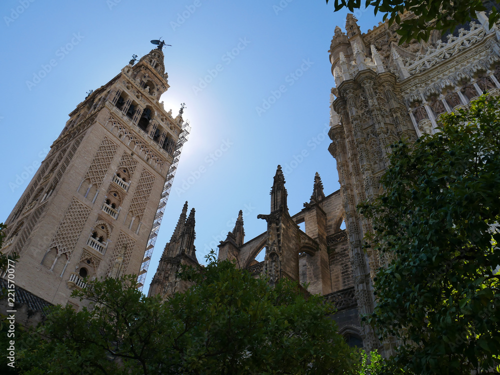 Obraz premium Seville giralda cathedral