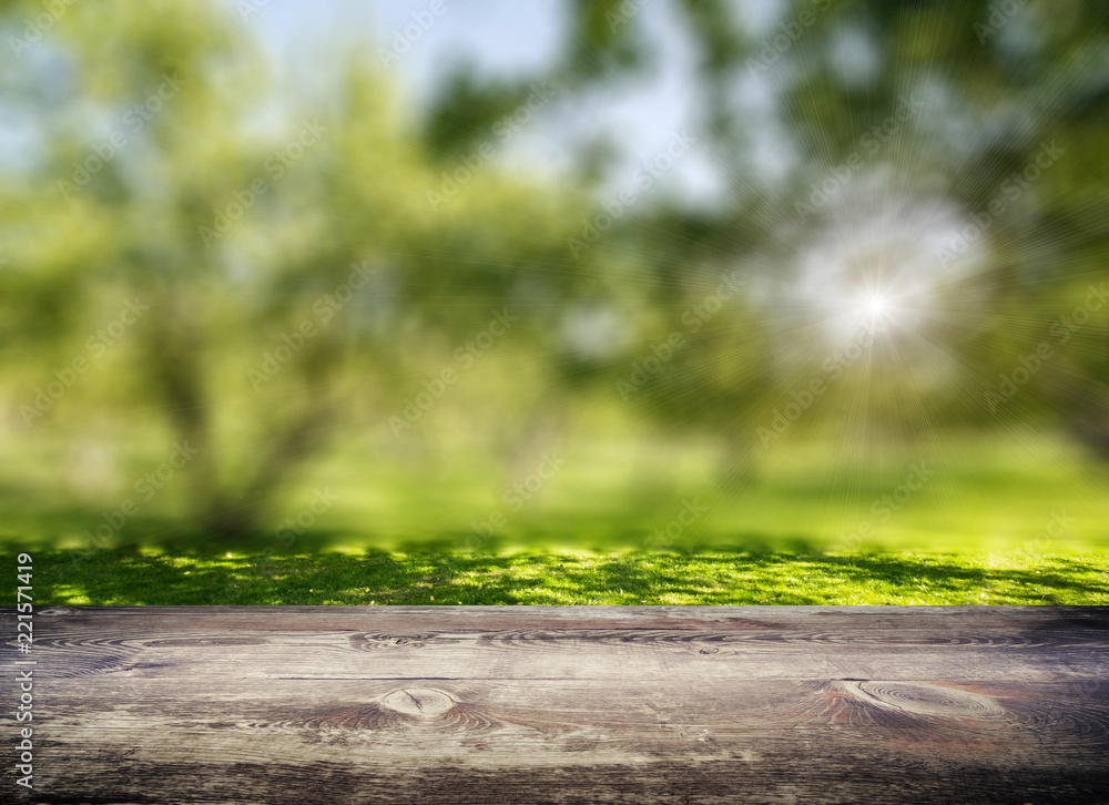 Park blur background Park blur background