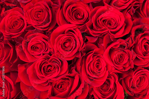 Texture of many red roses