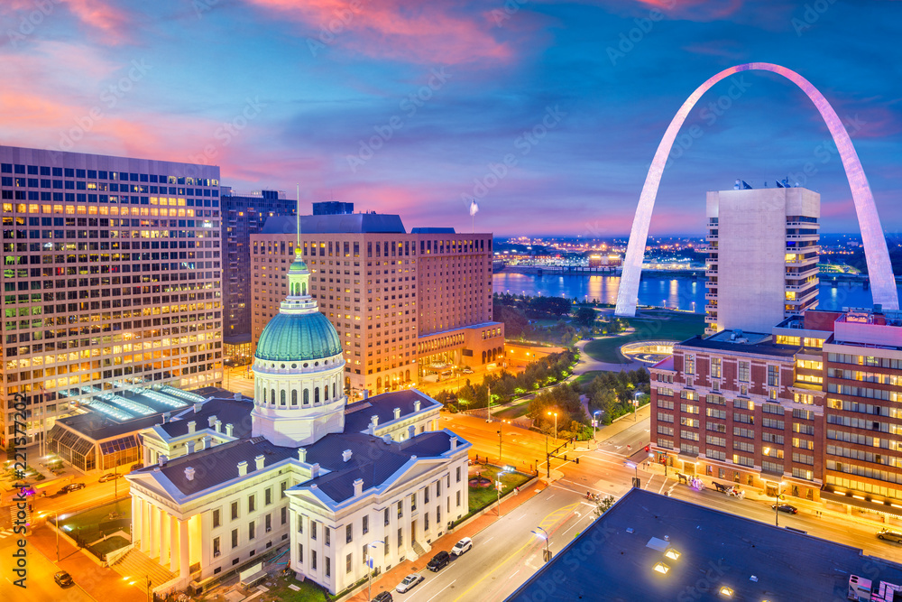 St. Louis, Missouri, USA Skyline - obrazy, fototapety, plakaty 