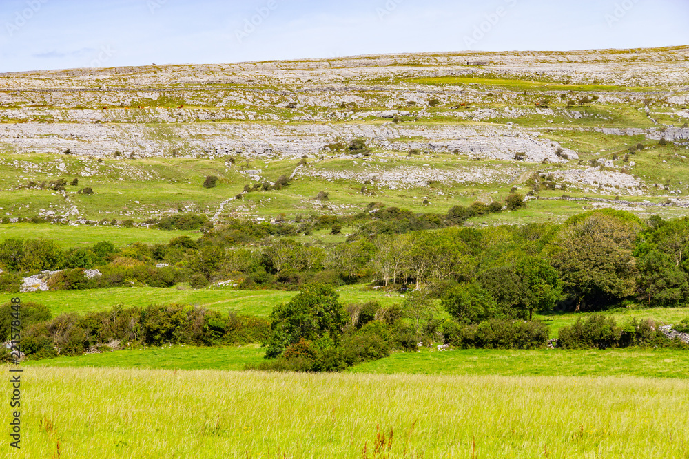Farm field and rock mountain in Burren way trail