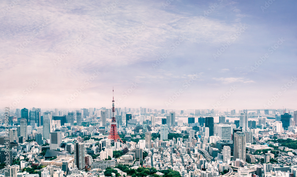 Tokyo cityscape under beautiful clear sky : Tokyo , Japan