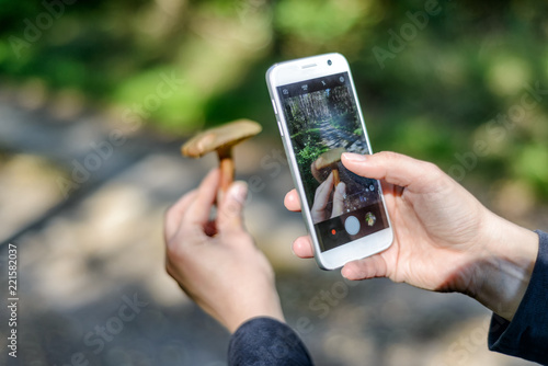 Cuadro en lienzo Pilzsucher im Wald fotografiert einen Pilz