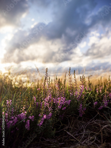 landschaft