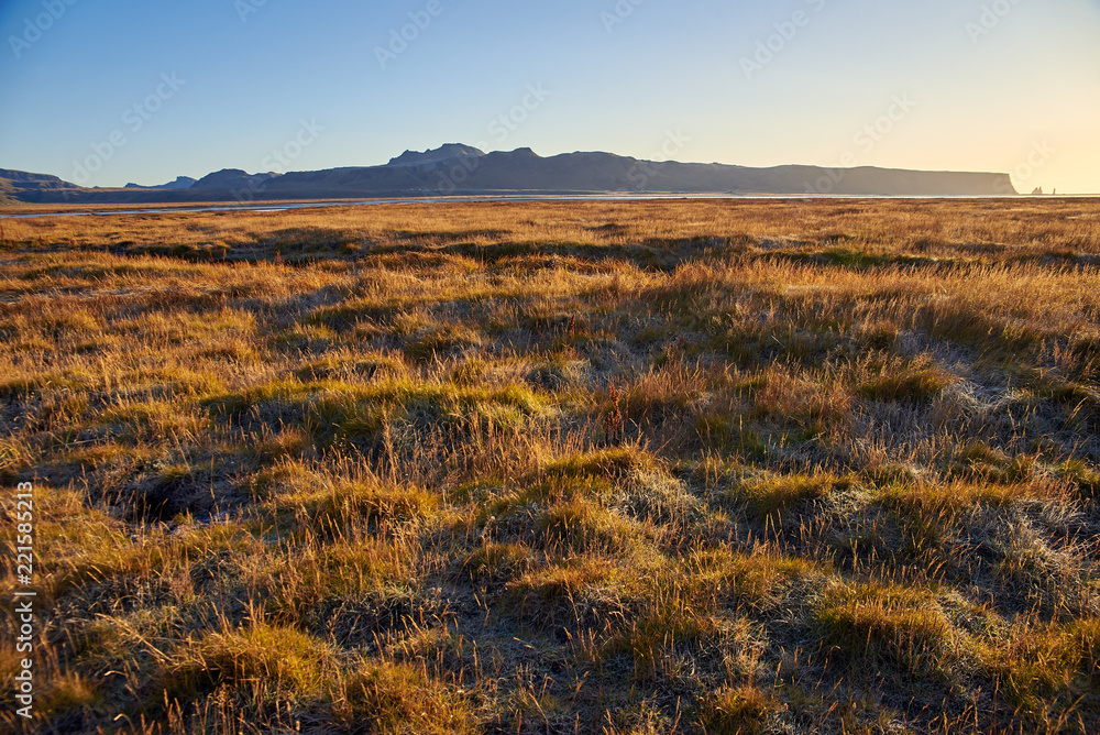 Fototapeta premium beautiful autumn landscape in Iceland