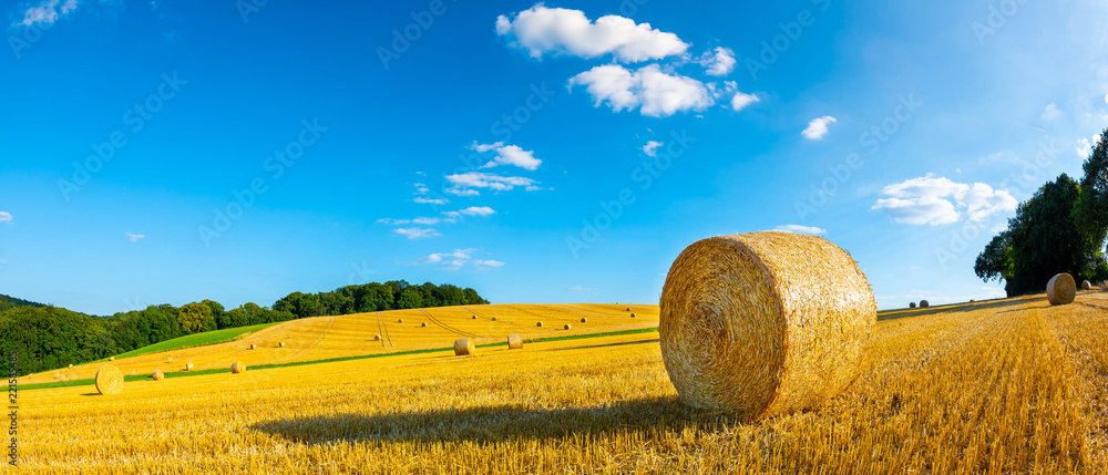 Landscape in summer with hay bales on a field and blue sky with clouds in the background - obrazy, fototapety, plakaty 