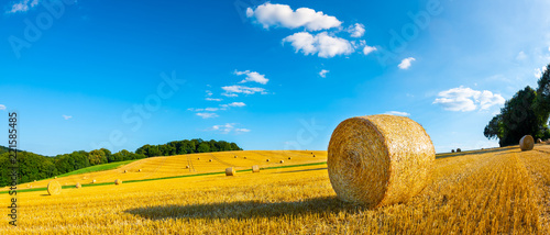 Landscape in summer with hay bales on a field and blue sky with clouds in the background